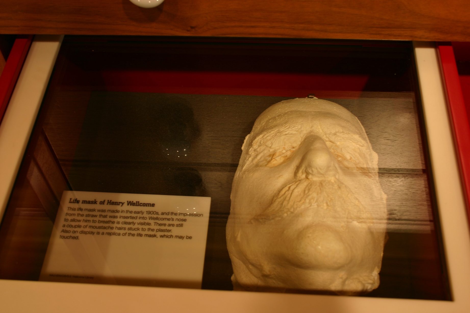 Henry Wellcome s life mask, Medicine Man, The Wellcome Building, London.JPG